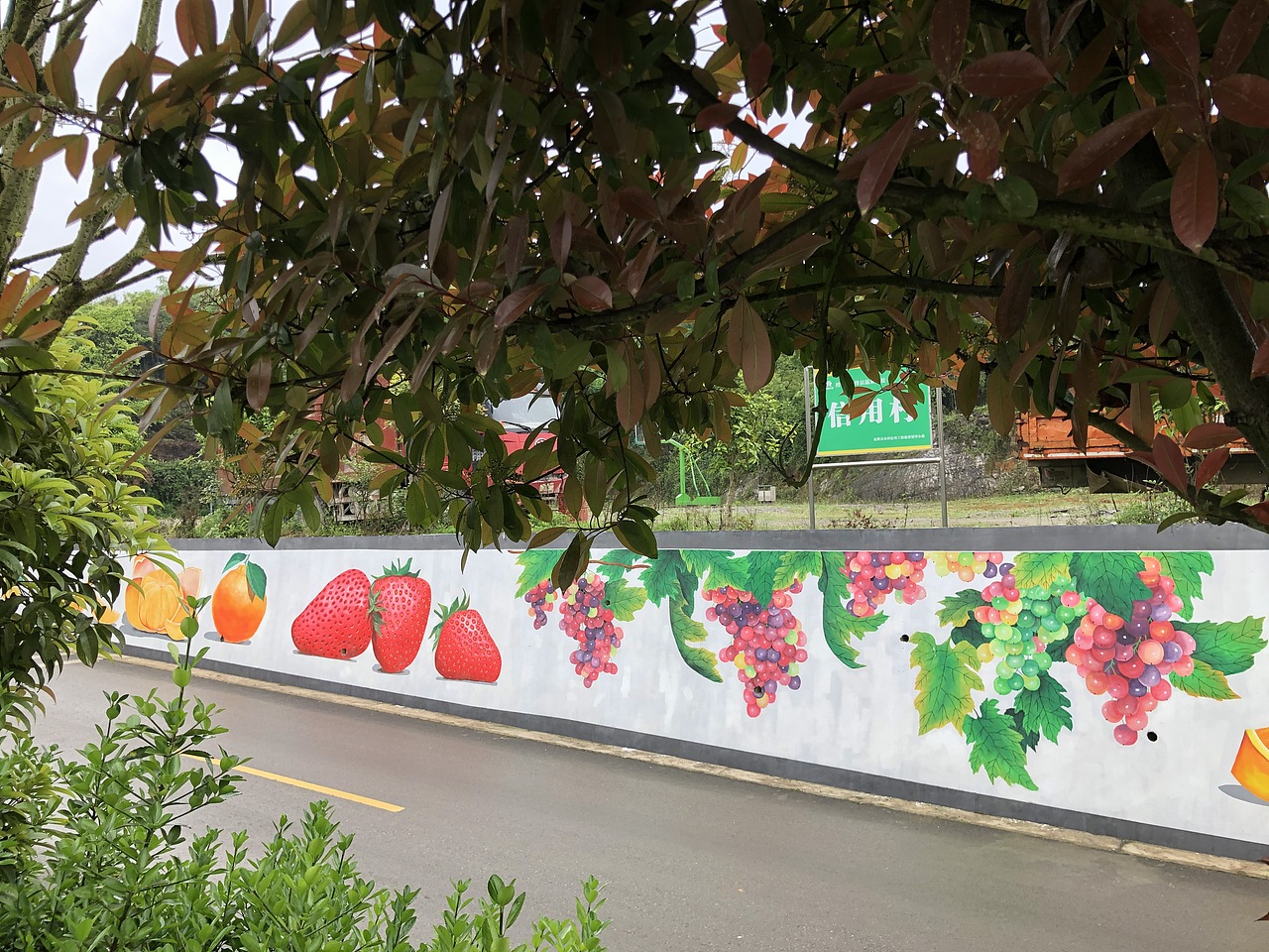 贵阳息烽温泉网红打卡点草莓果园文化手绘墙_壁尚手绘贵州墙绘-站酷