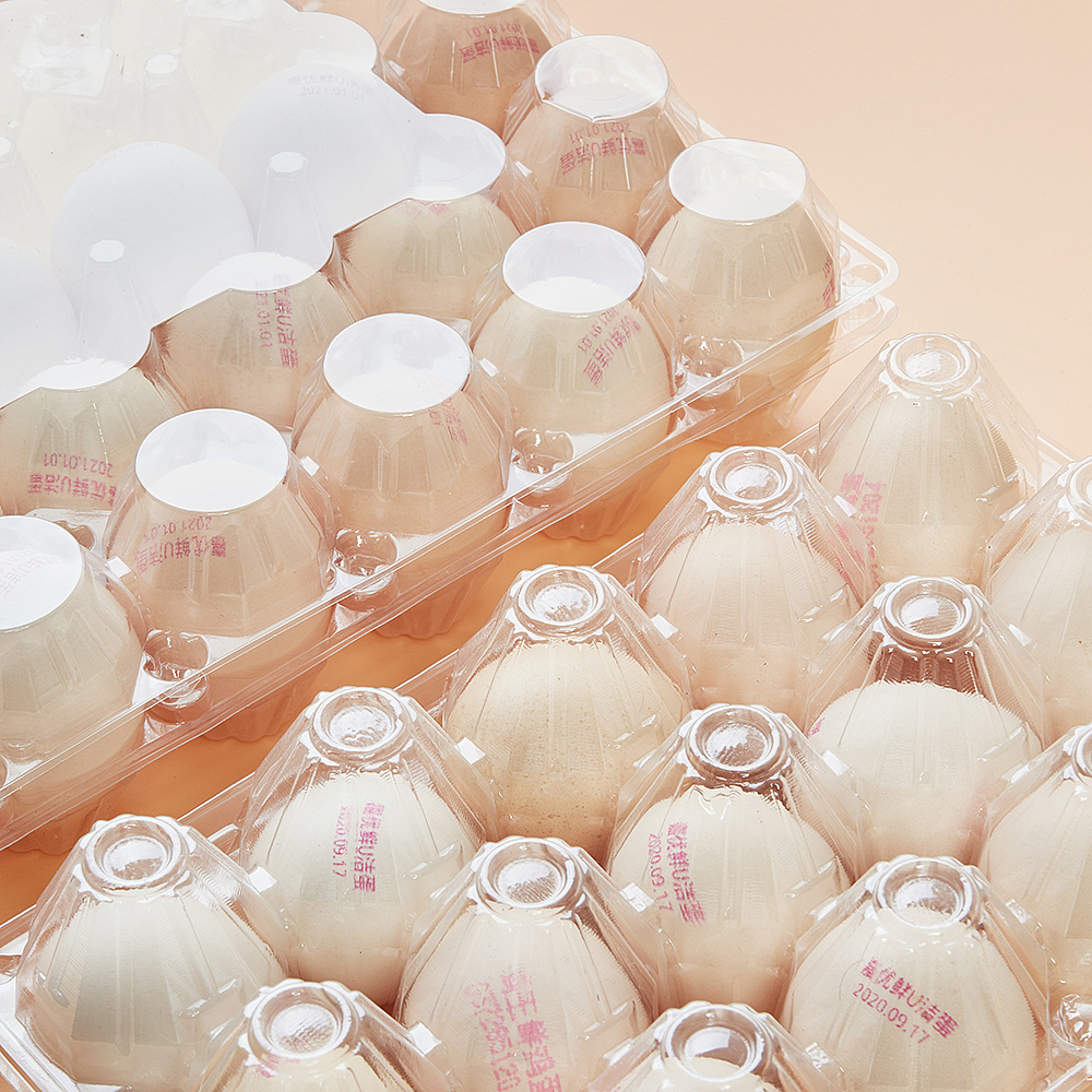 一次性餐盒、透明塑胶盒、生鲜水果包装盒拍摄阿里巴巴