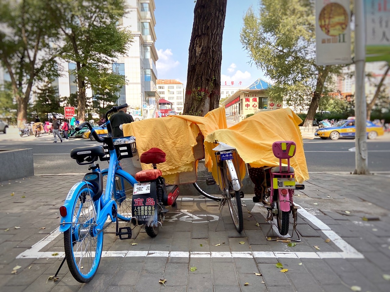 近期手机摄影合集（图ZMjI2NjU3Nzcy） - 人文/纪实摄影 - 站酷设计师青木设计yyds原创素材 - 站酷ZCOOL