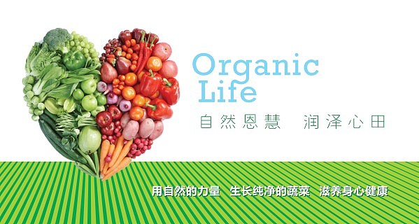 水木田园 有机蔬菜 VI设计