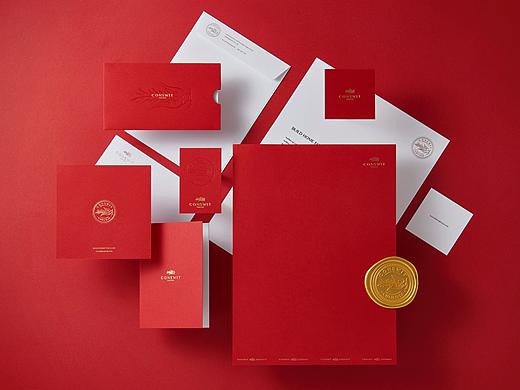 大洲金丝燕 CONSWIT