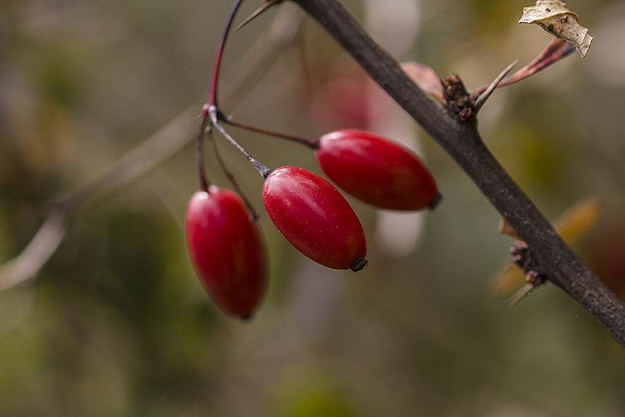 2014·10九寨沟（图ZMjA5NDgxMjg=） - 风光摄影 - 站酷设计师RyanShao原创素材 - 站酷ZCOOL