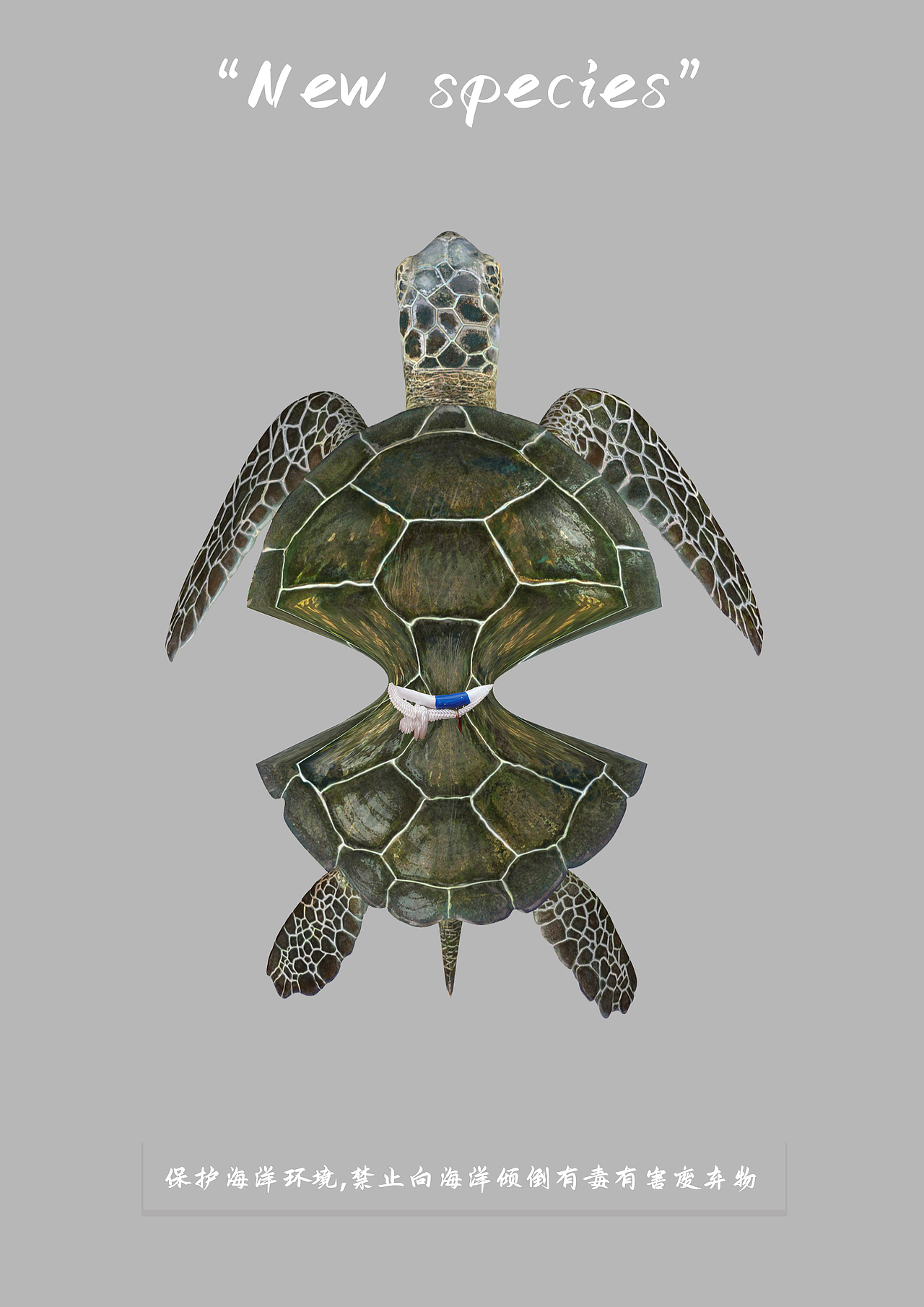 海洋新物种（图ZMjExODgwMjc2） - 海报 - 站酷设计师Zyan0306原创素材 - 站酷ZCOOL