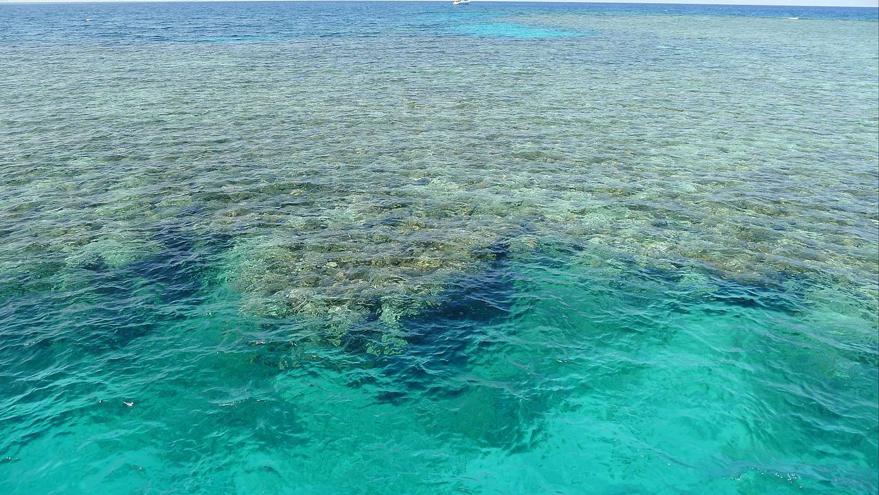 南澳碧桂园云海