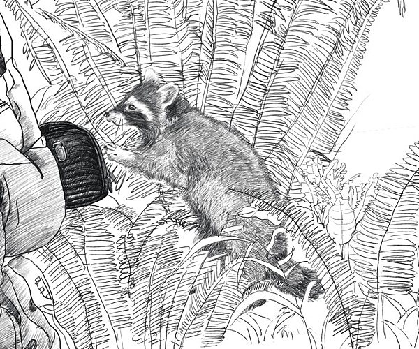 黑贝壳镜头筒平面广告（图ZNDYyNjM4OA==） - 宣传物料 - 站酷设计师创生品牌设计原创素材 - 站酷ZCOOL