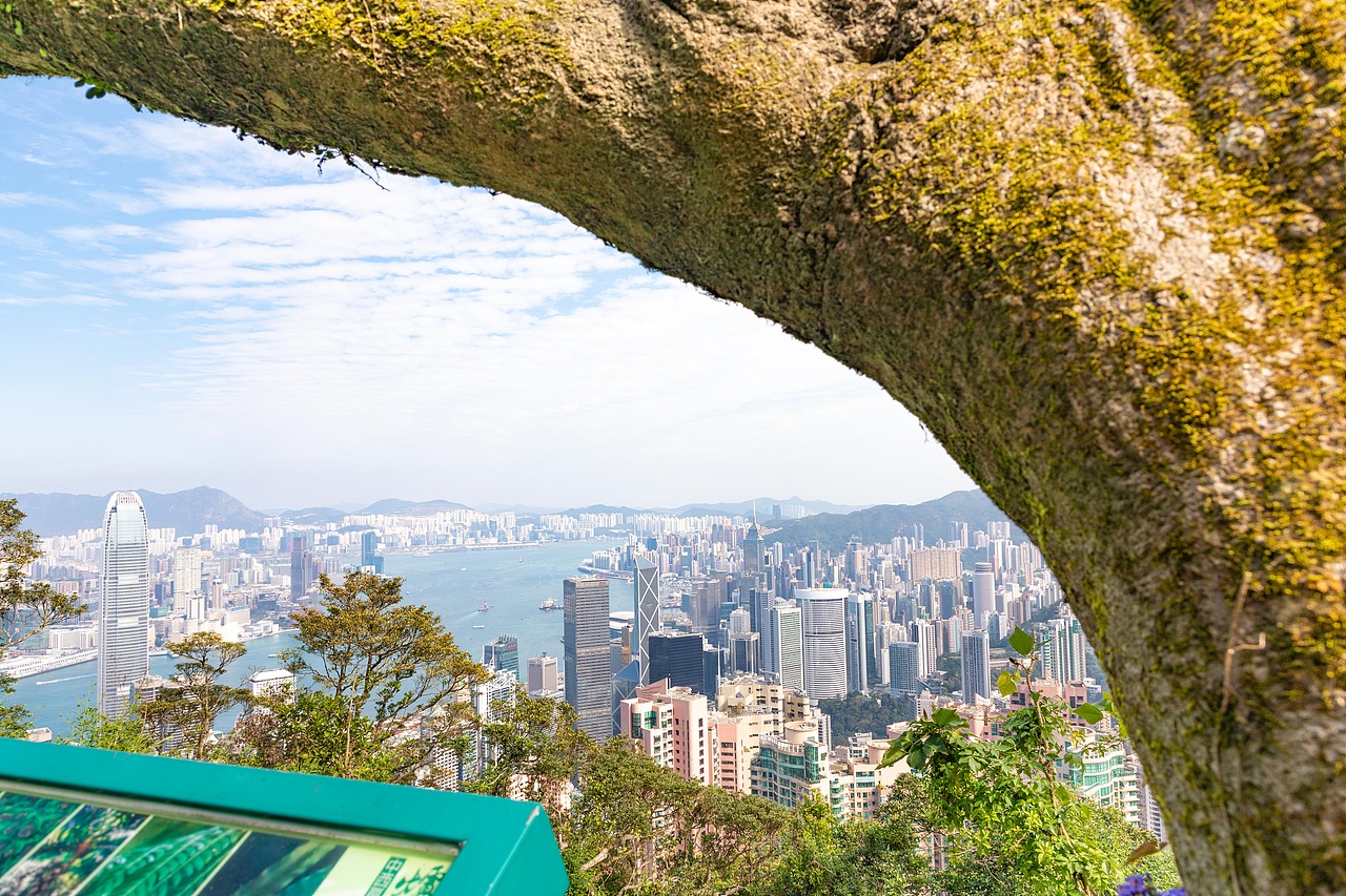 香港太平山顶港岛径1一段中环维多利亚港