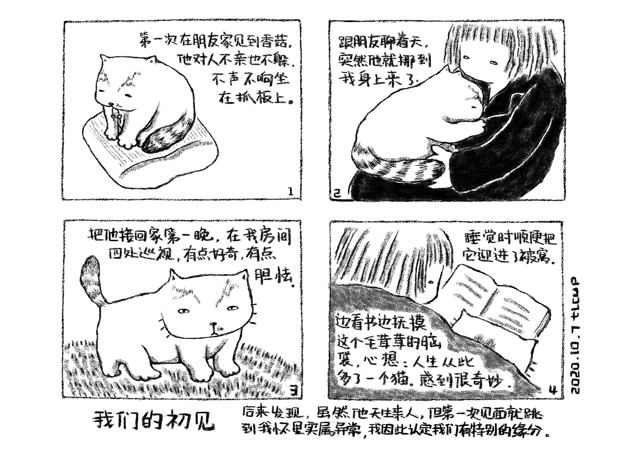 每日一猫小涂合集