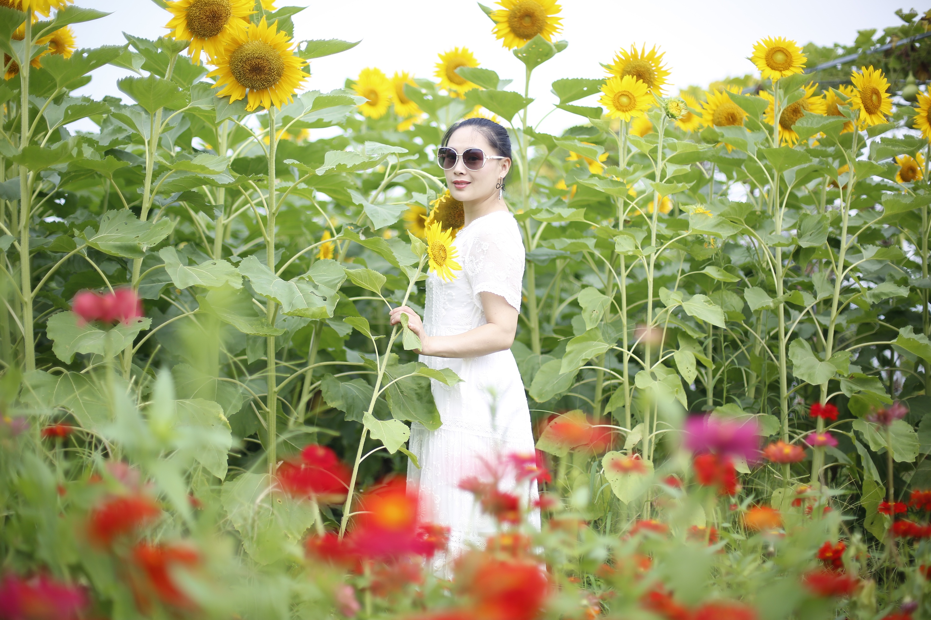 花海美女|摄影|人像摄影|铁马冰河入梦来_原创作品-站酷zcool