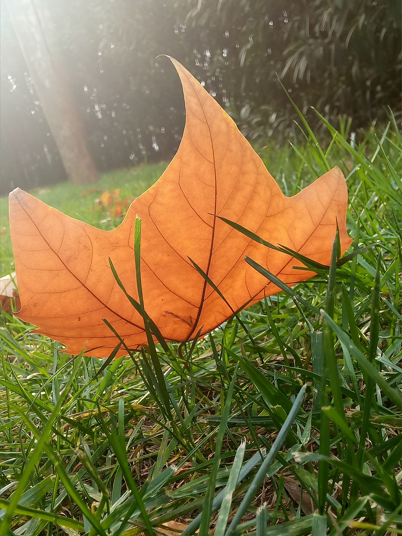 摄影（图ZMTg0OTM5MDI4） - 风光摄影 - 站酷设计师沫瑶宝贝吖原创素材 - 站酷ZCOOL