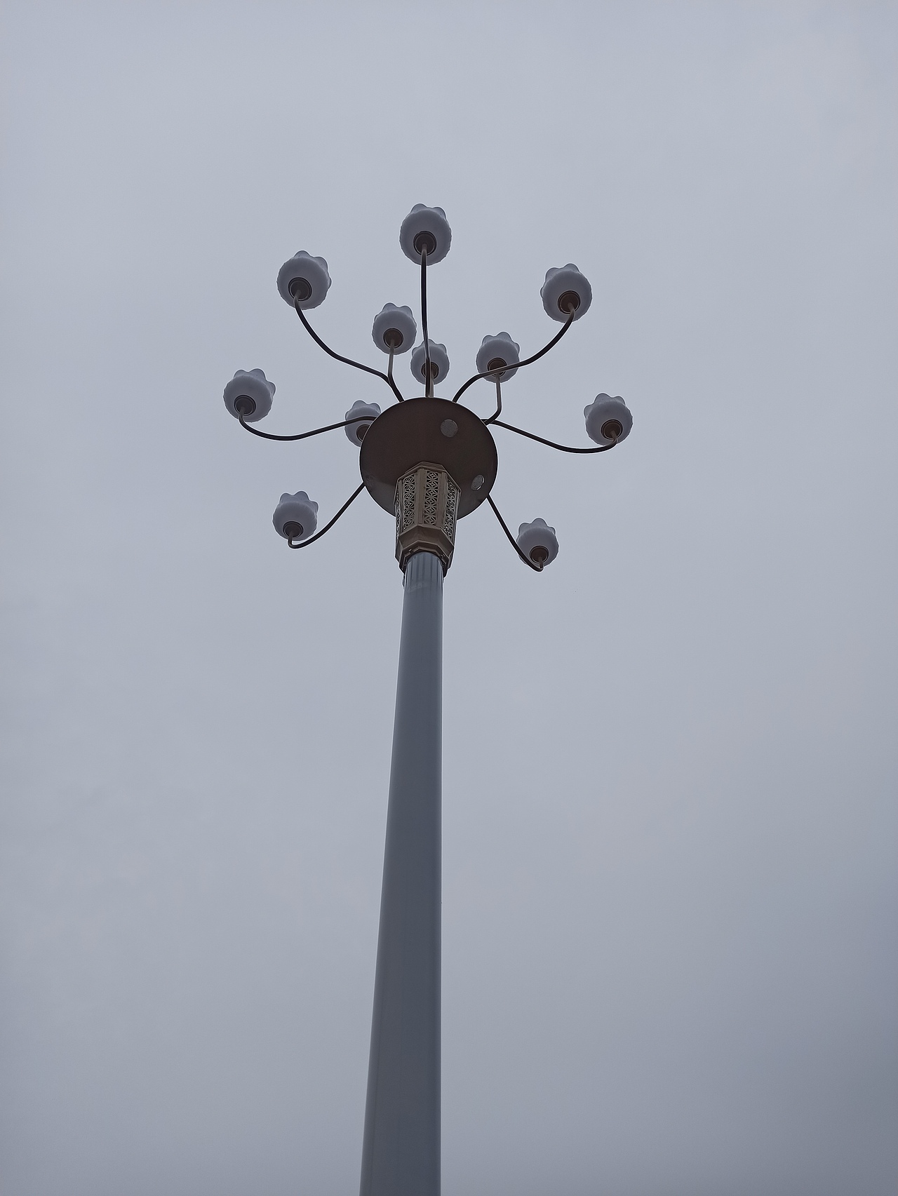 10米户外中华灯路灯 多头户外景观灯 定制高度玉兰灯