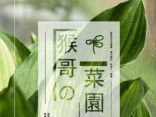 玩手工\拍照\做海报