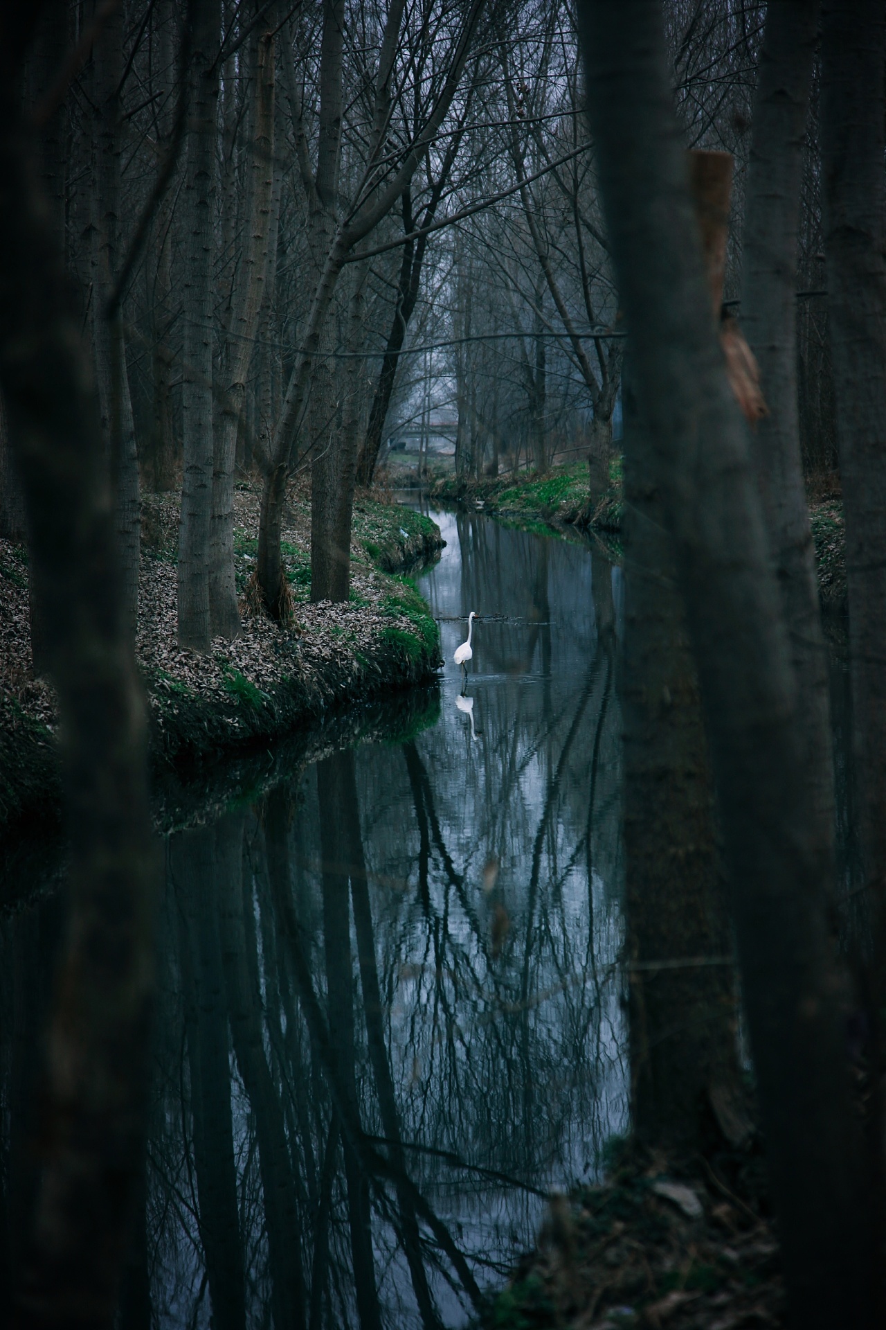 生活美学摄影 野外