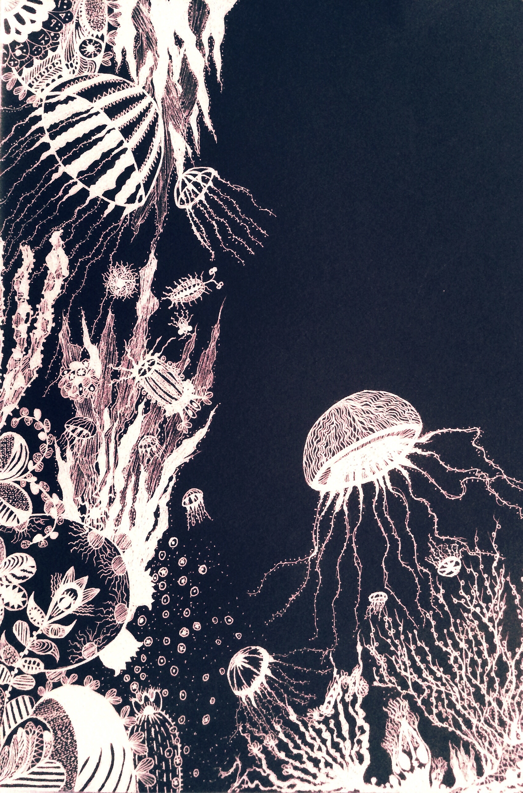 水母|插画|插画习作|zvenay - 原创作品 - 站酷 (zcool)