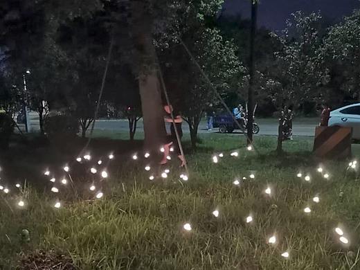 户外动感萤火虫灯由中山铭星灯饰有限公司专业工厂提供