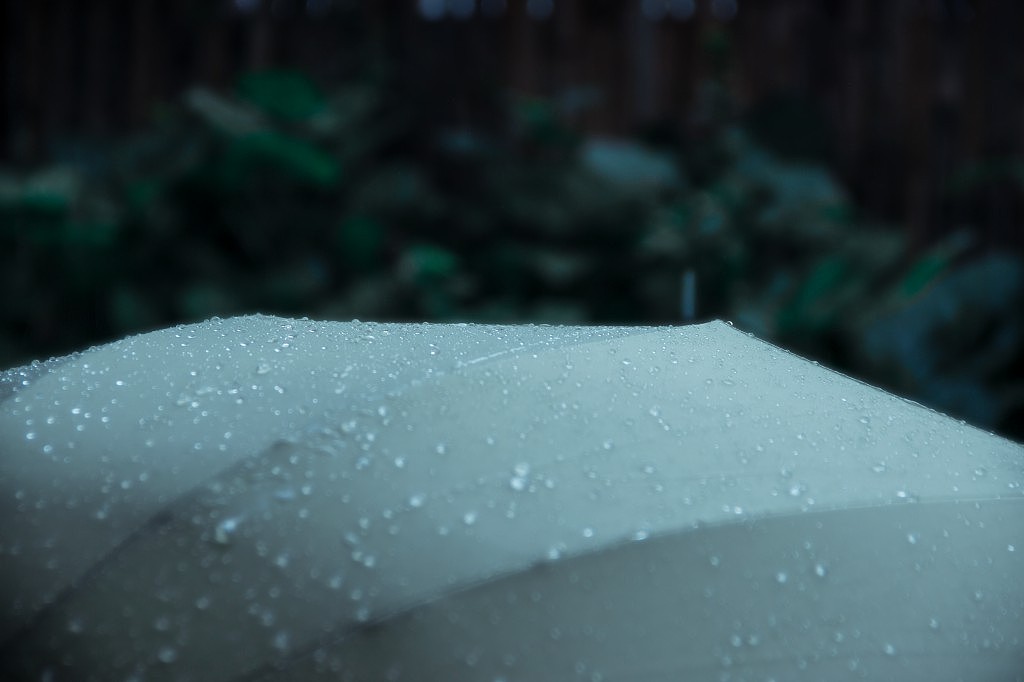 陌上花开 清风自来