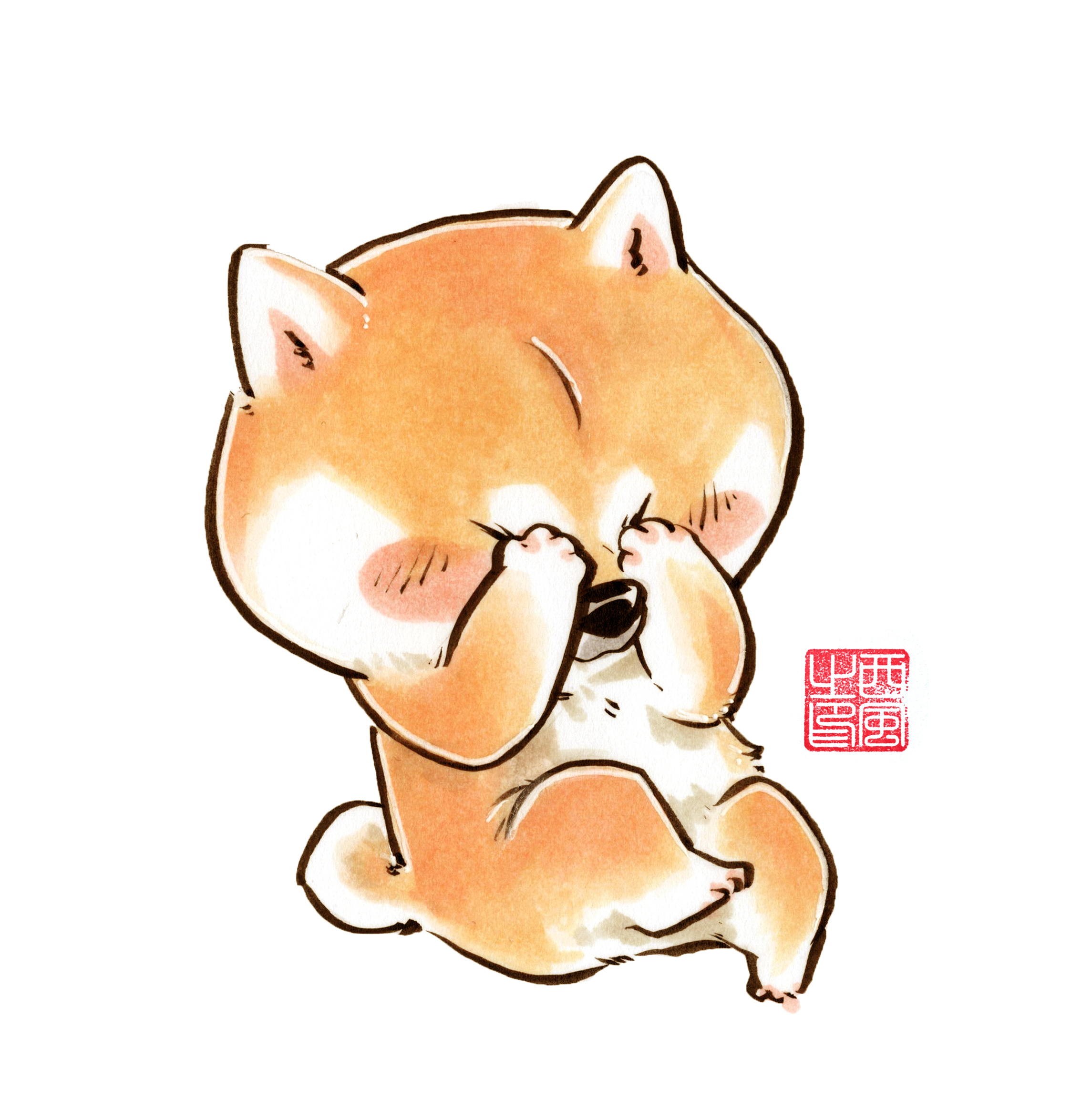 柴犬枸杞 冬季篇一