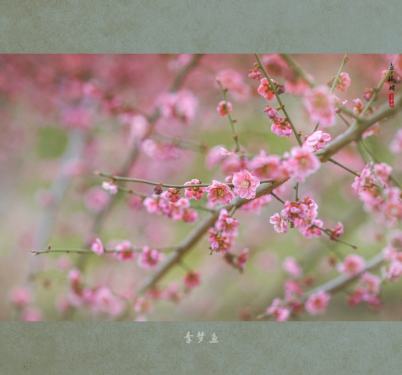 喜上梅梢（图ZMTUwODMwODY0） - 人像摄影 - 站酷设计师腰果虾仁原创素材 - 站酷ZCOOL