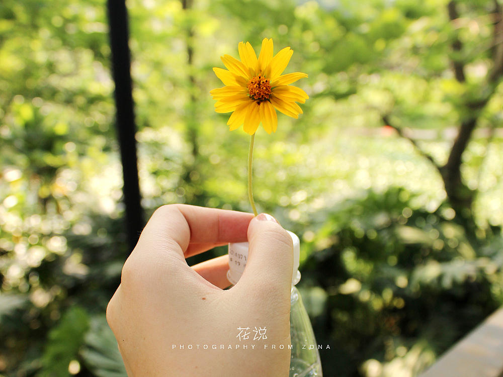 花说（图ZMjIyMDgzMjQ=） - 风光摄影 - 站酷设计师设计师芄子原创素材 - 站酷ZCOOL