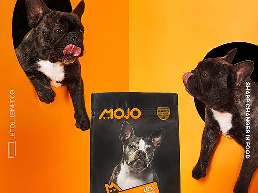 喵主子&汪星人的时髦心头好#IN LIGHT猫狗粮拍摄#