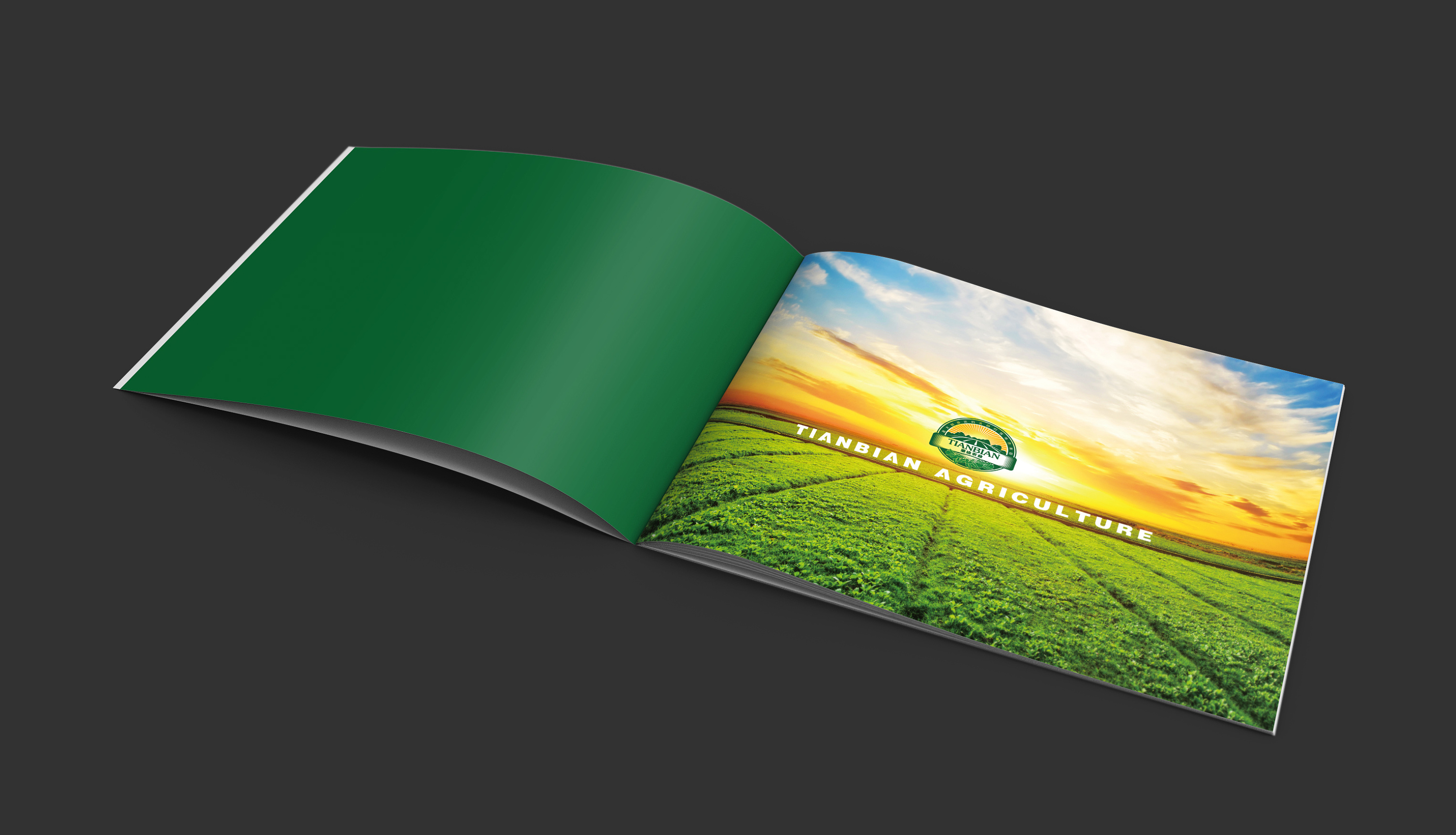 添边农业画册