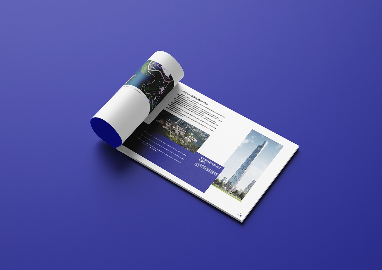 天府新区LOGO设计