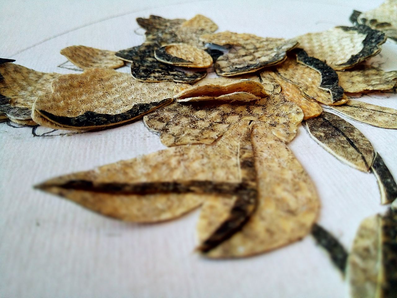 赫哲族鱼皮画|手工艺|皮艺|rocer - 原创作品 - 站酷 (zcool)