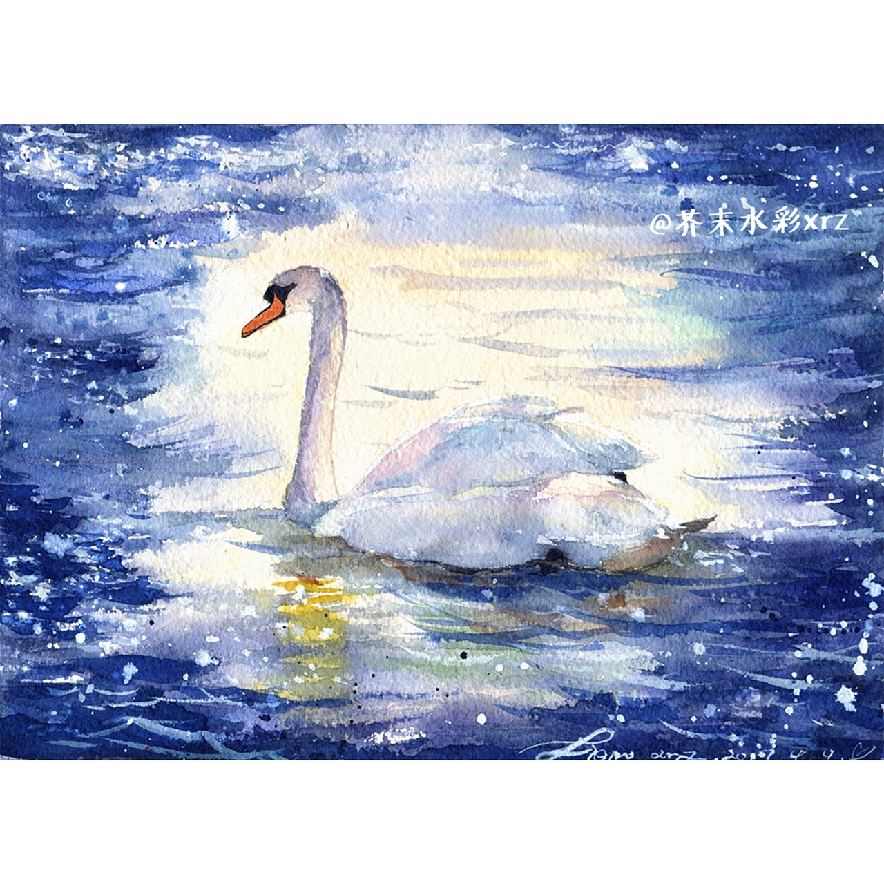 白天鹅|纯艺术|绘画|芥末xrz_原创作品-站酷zcool