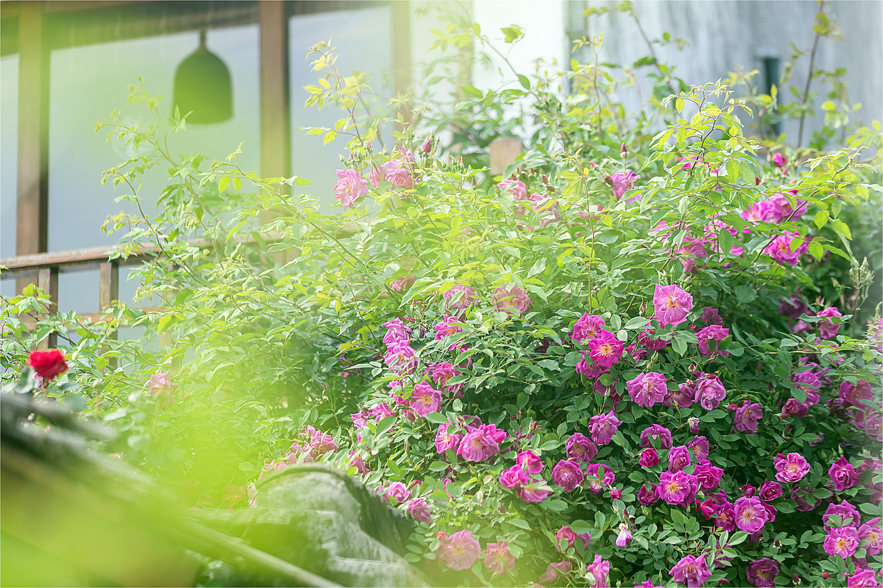 2021静遇周庄（图ZMjY5NjUxMTg0） - 风光摄影 - 站酷设计师延长线_31原创素材 - 站酷ZCOOL