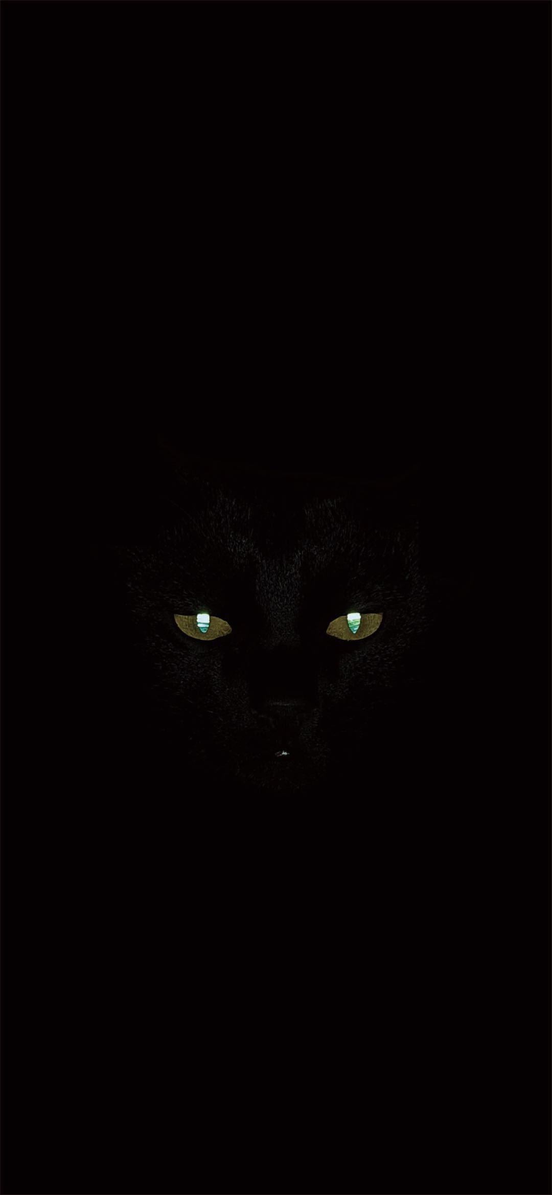 GONG_C的個人主頁（背景預(yù)覽） - 主頁背景設(shè)置 - 站酷設(shè)計師GONG_C原創(chuàng)素材 - 站酷ZCOOL