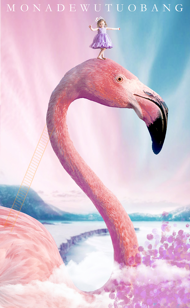 粉红火烈鸟手机壁纸-弗朗明哥风格