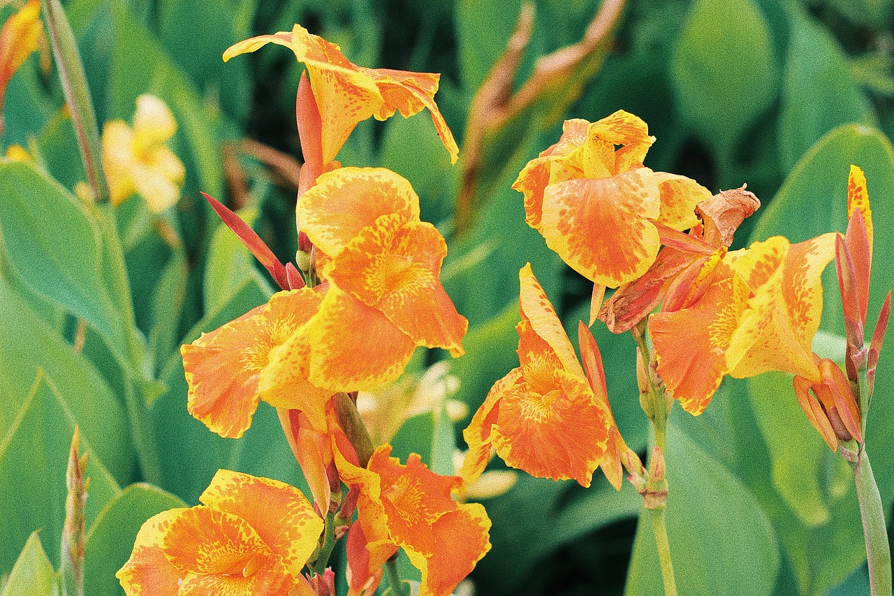 别逃避我的镜头