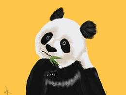 熊猫手绘