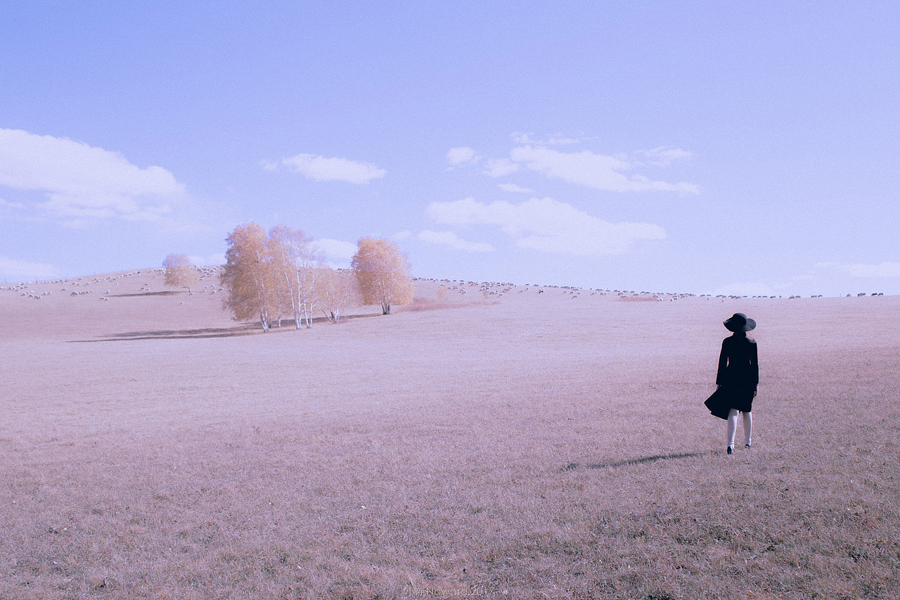 在那遥远的地方