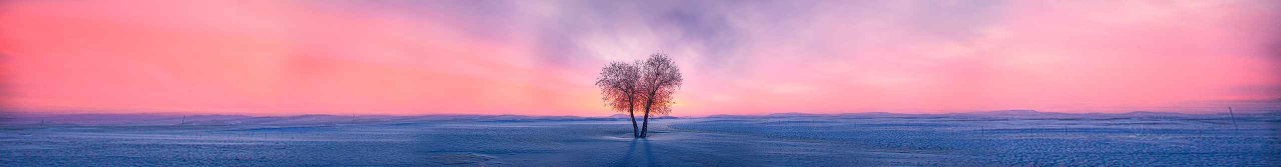 会飞的剑鱼的个人主页（背景预览） - 主页背景设置 - 站酷设计师会飞的剑鱼原创素材 - 站酷ZCOOL