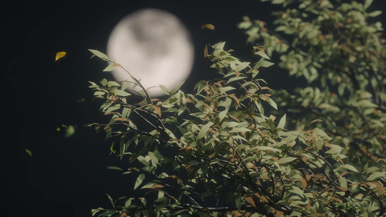 毕业设计《夕岸》——数字媒体技术三维短片