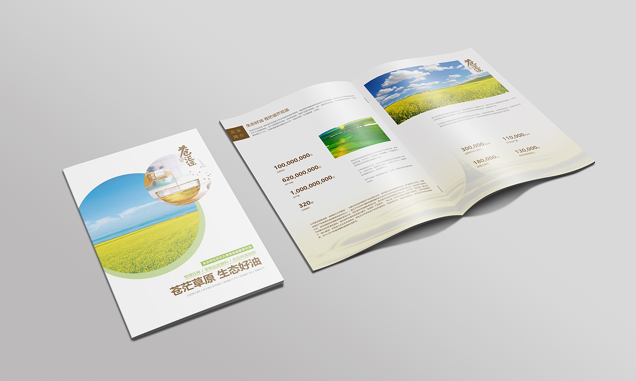 苍茫谣（图ZMTIzMTg4MTY0） - 书籍/画册 - 站酷设计师1174337661原创素材 - 站酷ZCOOL