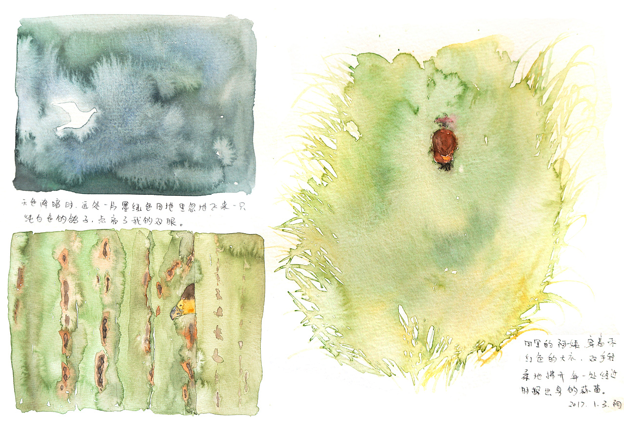 自然笔记（图ZNjg2NTAyODQ=） - 艺术插画 - 站酷设计师早寻原创素材 - 站酷ZCOOL