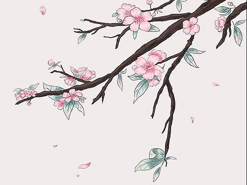 四季花-练习作