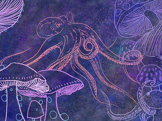 Mushrooms and Octopus