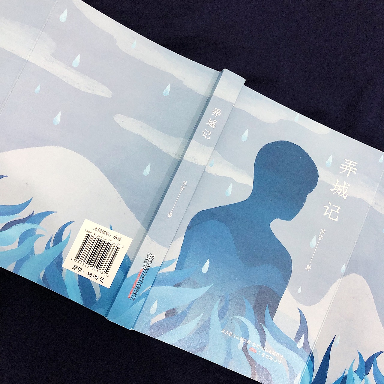 《弄城记》装帧设计（图ZMTkyMjIwNjg4） - 书籍/画册 - 站酷设计师沉清Evechan原创素材 - 站酷ZCOOL