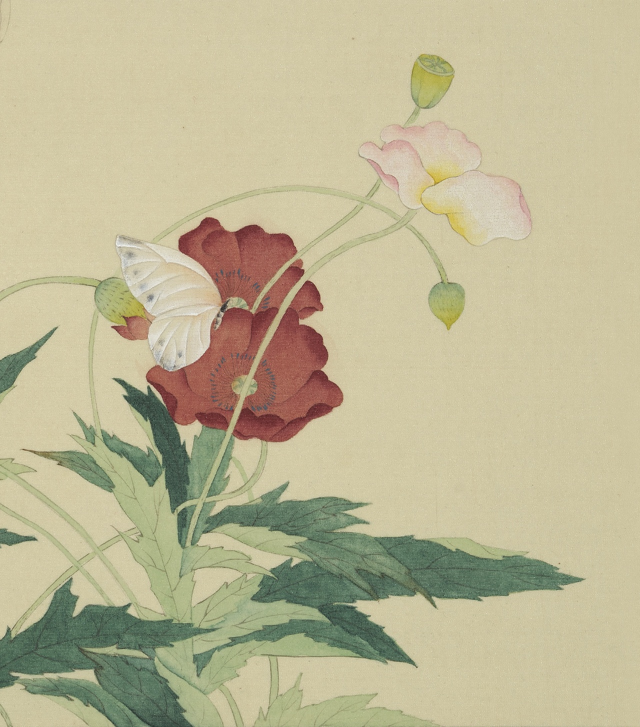 虞美人|纯艺术|绘画|兔小子_原创作品-站酷zcool