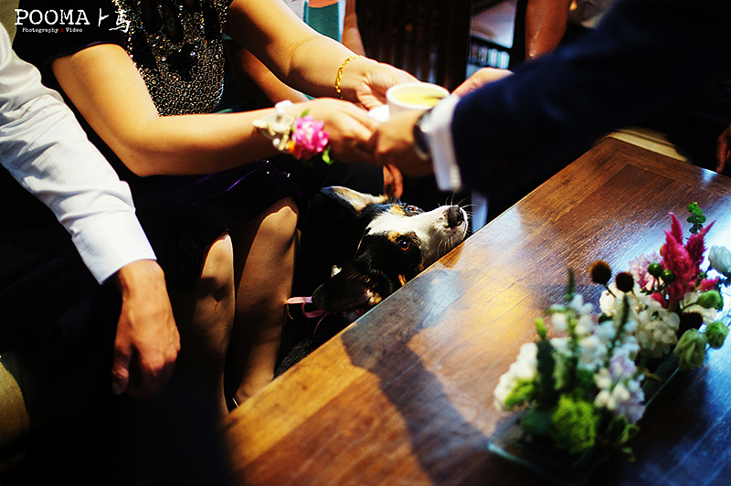 最亮的星－果园婚礼跟拍