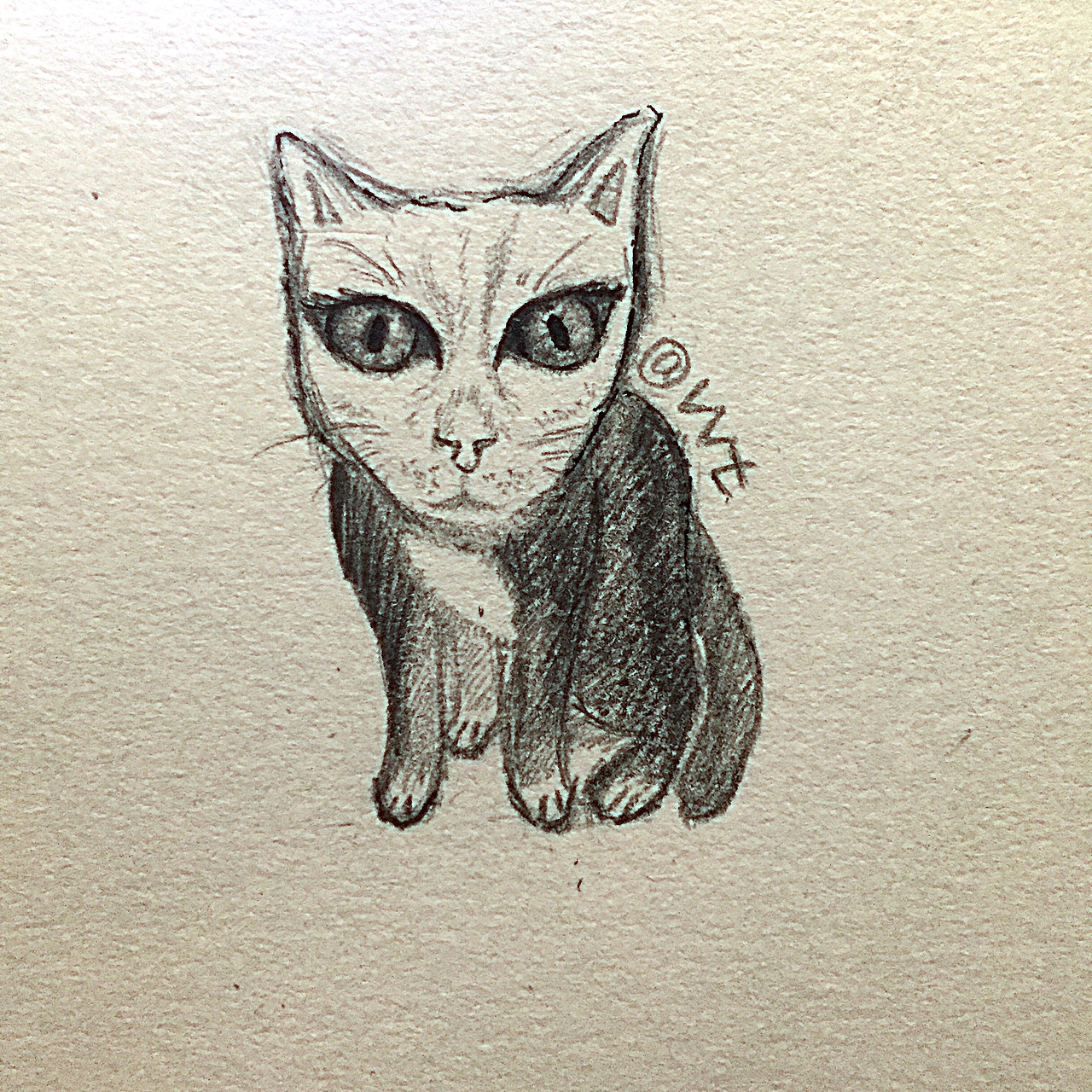 自创喵@wt
图一怪喵