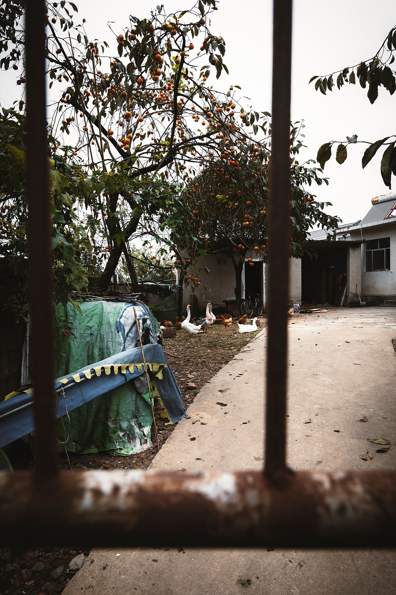 随处可见的农村场景（图ZMjI3MTIyNTI0） - 人文/纪实摄影 - 站酷设计师我有条狗叫汤圆原创素材 - 站酷ZCOOL