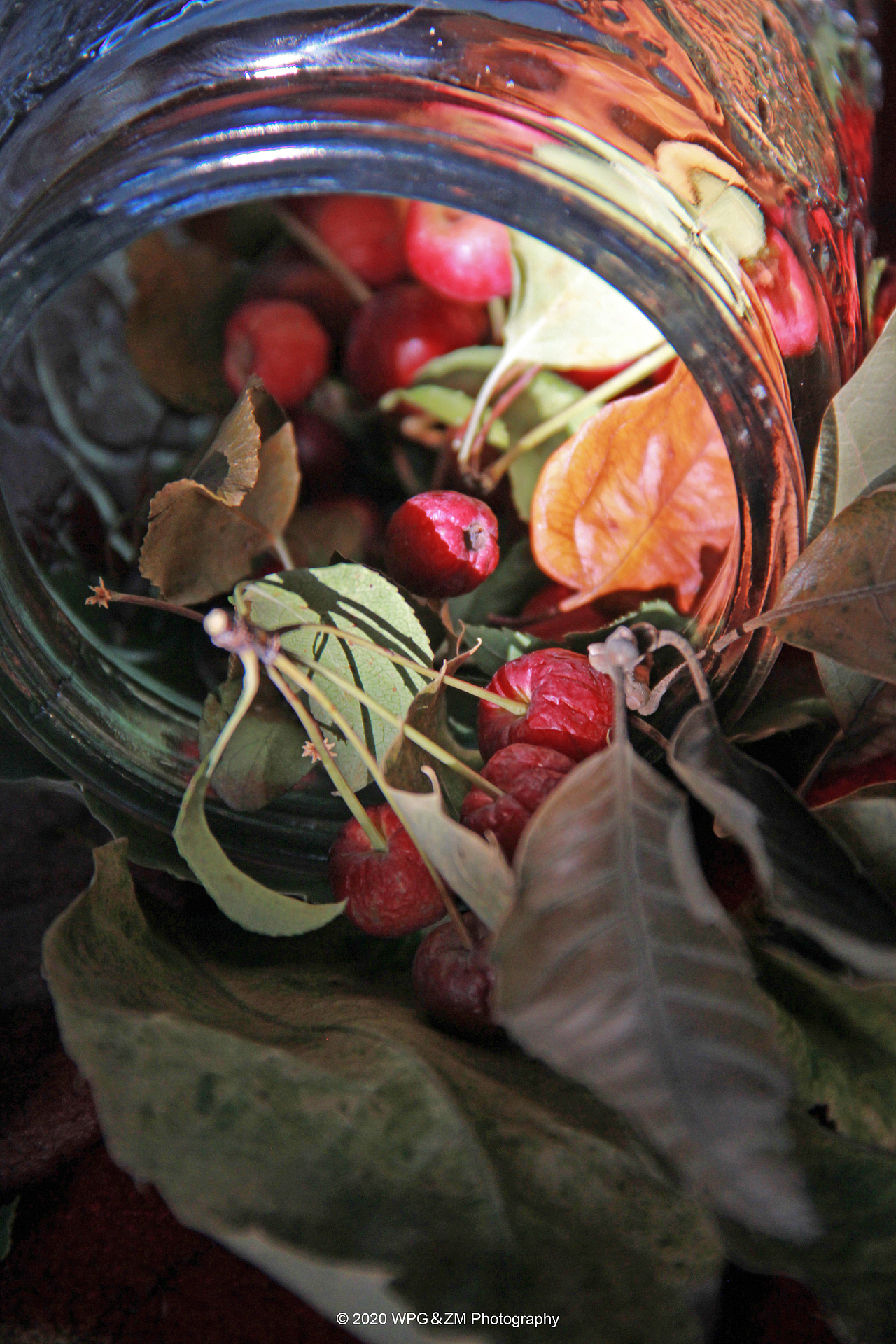 《 收藏秋天 》