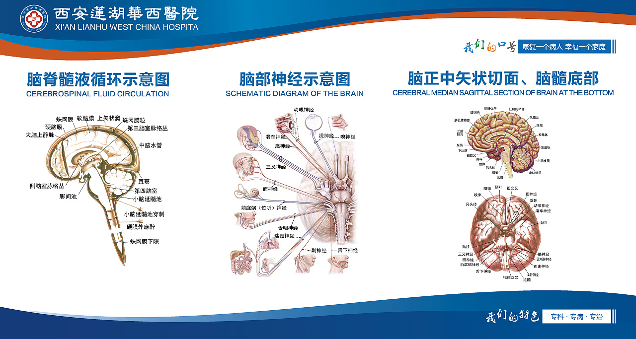 医生简介（图ZOTU3MzAyNTI=） - 海报 - 站酷设计师深巷漫步原创素材 - 站酷ZCOOL