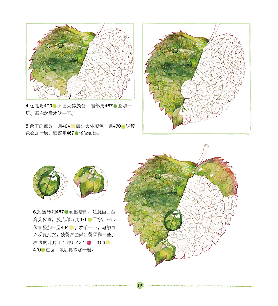 露珠与树叶的画法（图ZMjMzNDY1MzI=） - 绘画 - 站酷设计师木卮--_--原创素材 - 站酷ZCOOL
