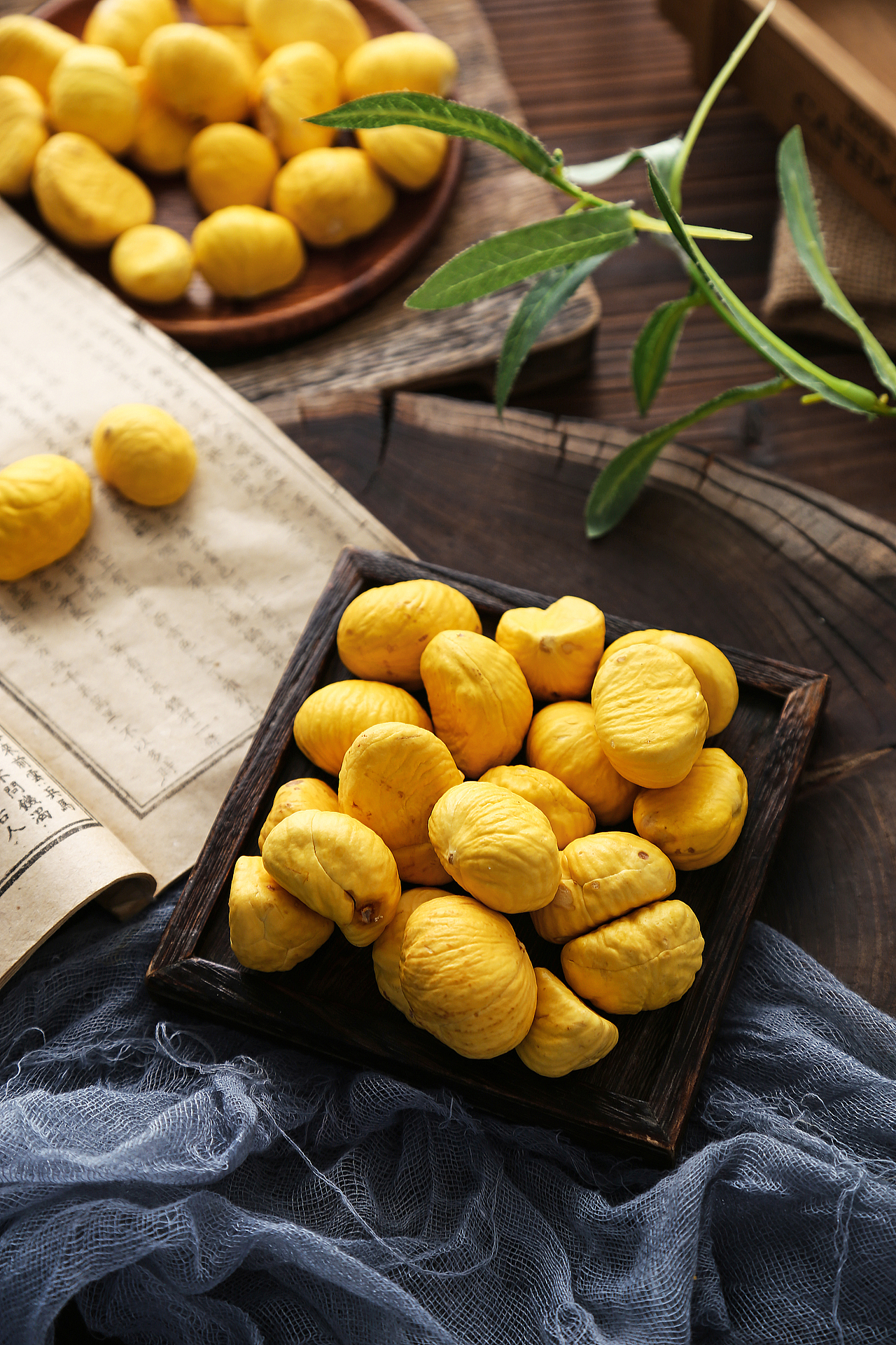 板栗|摄影|产品摄影|冰箱热疯了_原创作品-站酷zcool