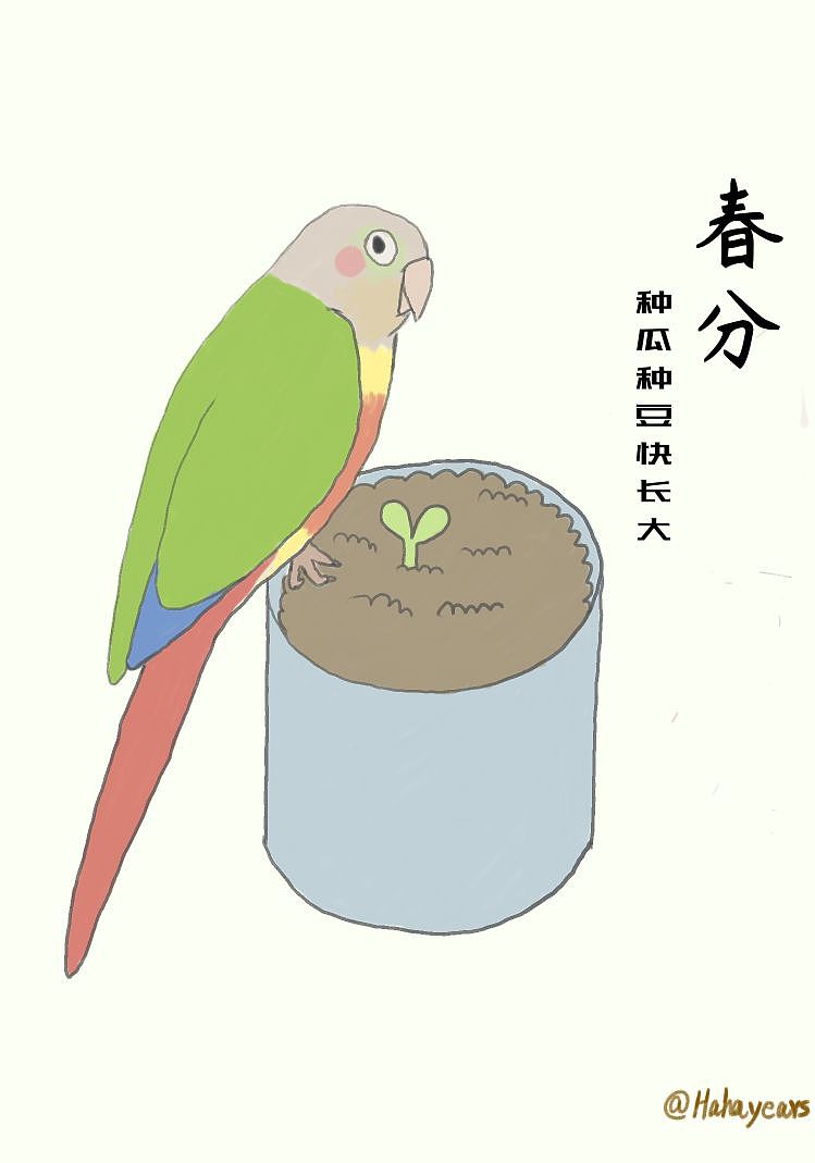 二十四节气|春分