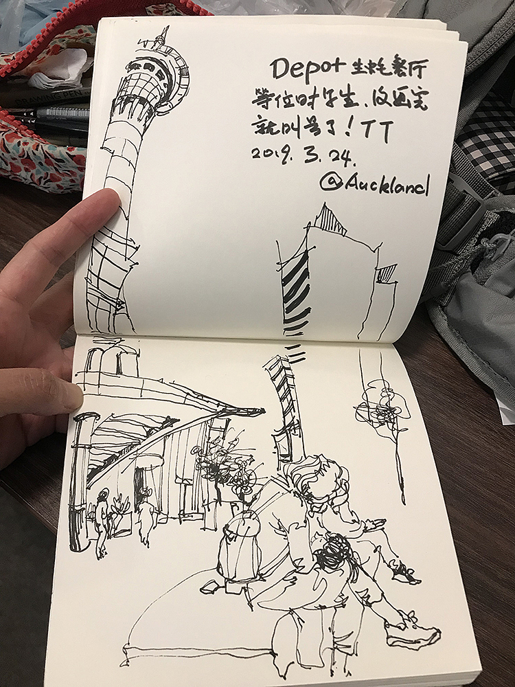 纽西兰南岛之旅的插画&速写